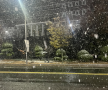 프로필 사진