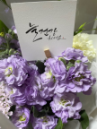 프로필 사진