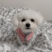프로필 사진