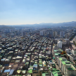 프로필 사진