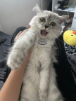 프로필 사진