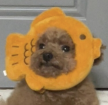 프로필 사진