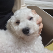 프로필 사진