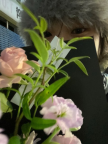 프로필 사진