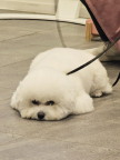 프로필 사진