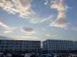 프로필 사진