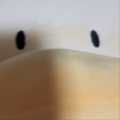 프로필 사진