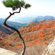 프로필 사진