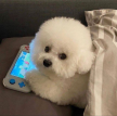프로필 사진