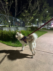 프로필 사진