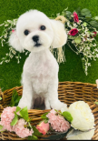 프로필 사진