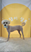 프로필 사진