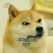 프로필 사진