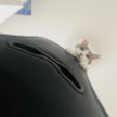 프로필 사진