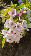 프로필 사진