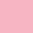 프로필 사진