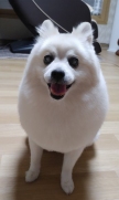 프로필 사진