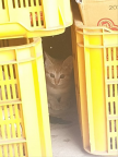 프로필 사진