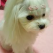 프로필 사진