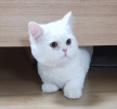 프로필 사진