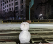 프로필 사진