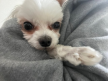 프로필 사진