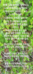 프로필 사진