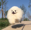 프로필 사진