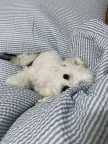 프로필 사진