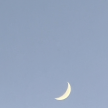 프로필 사진