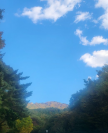 프로필 사진