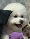 프로필 사진