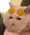 프로필 사진