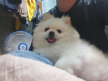 프로필 사진