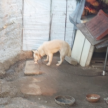 프로필 사진