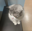 프로필 사진