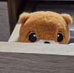 프로필 사진