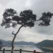 프로필 사진