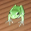 프로필 사진