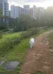 프로필 사진