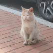 프로필 사진