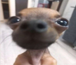 프로필 사진