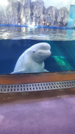 프로필 사진