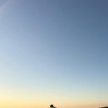 프로필 사진