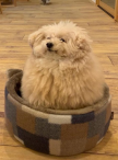 프로필 사진