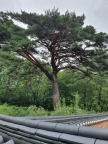 프로필 사진