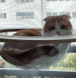 프로필 사진