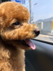 프로필 사진