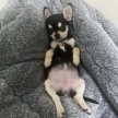 프로필 사진