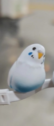 프로필 사진
